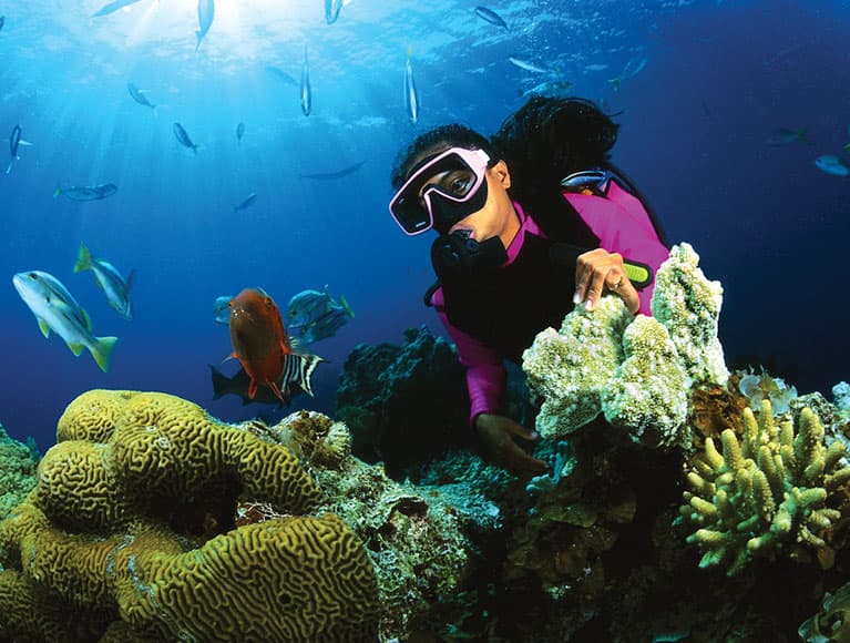 Diving