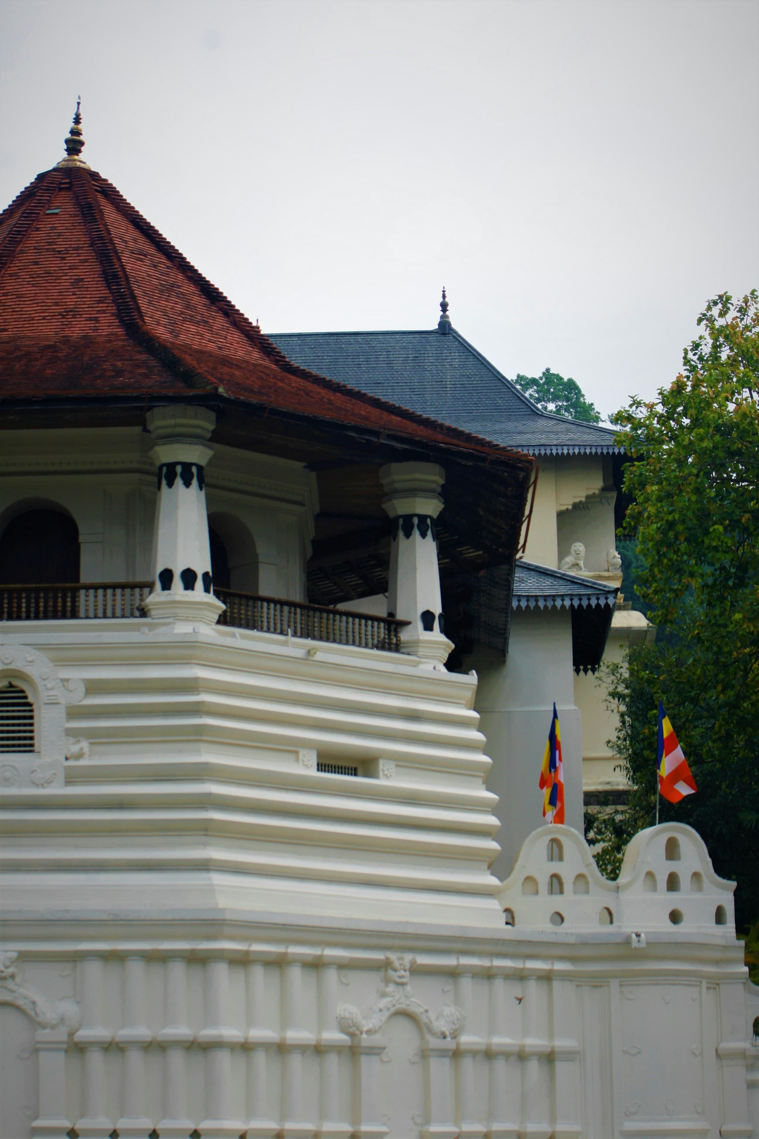 Kandy Day Tour