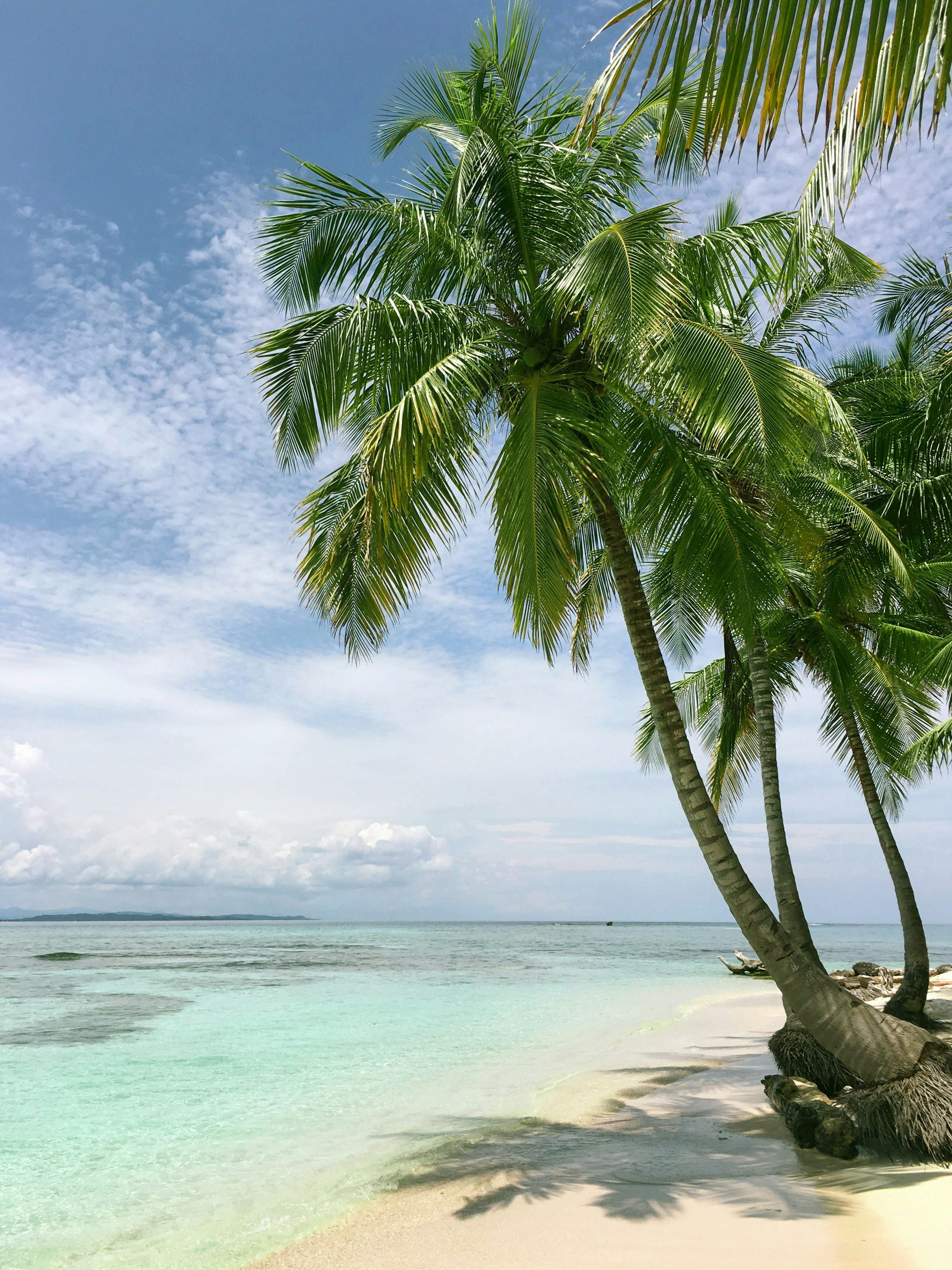 Day & Tailor-Made Tours